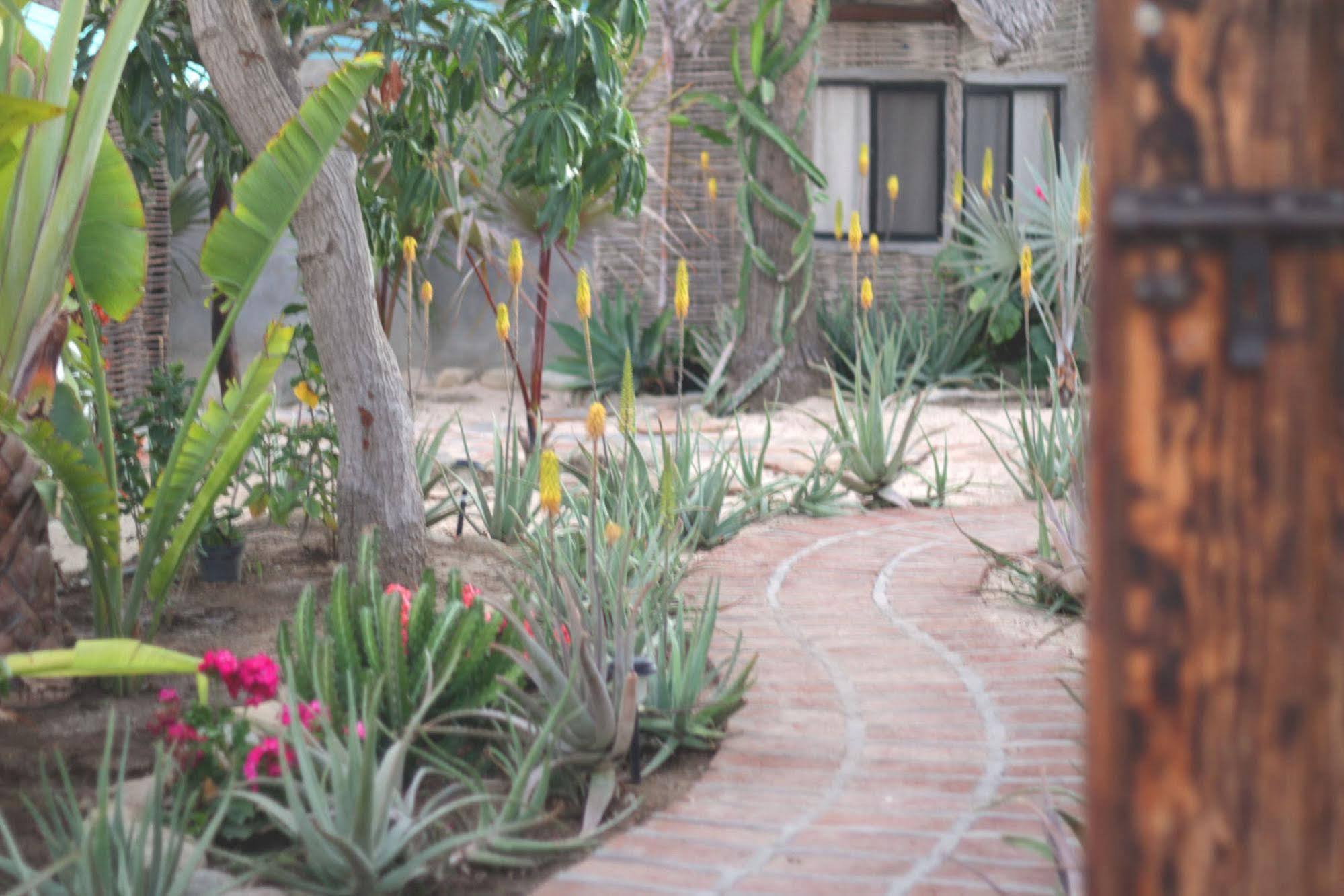 La Bohemia Hotel Todos Santos Kültér fotó
